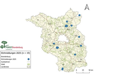 Karte Brandenburgs mit den Elchmeldungen des Jahres 2025